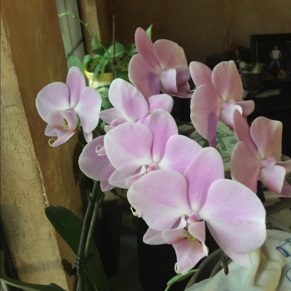 Meet your Posher, Christin